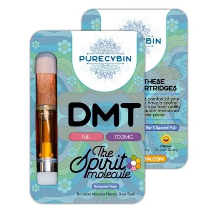 DMT 1ml 800mg DMT Vape – Mushrooms