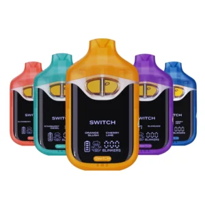 New Boutique Switch v4 New Boutique Switch v4
